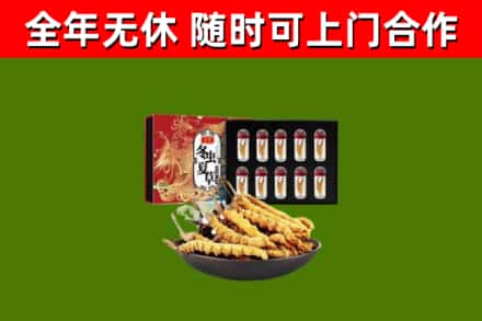 碧江区烟酒回收冬虫夏草礼盒.jpg